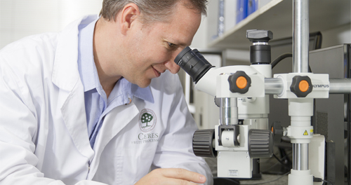 Commerical Photography